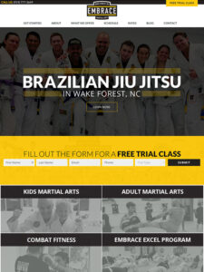 Karate Website Design And Lead Generation Winner